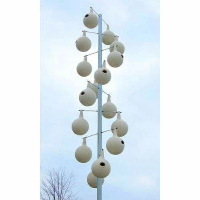 Purple Martin Aluminum Pole For 16 Gourds 3 Purple Martin Aluminum Pole For 16 Gourds