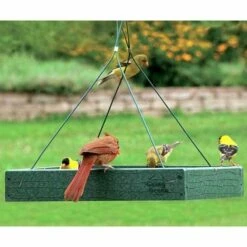 US Poultry Supplies Sales Store -US Poultry Supplies Sales Store recycled plastic platform bird feeder 00 01 25 feeders woodlink birdhousesandbaths 204
