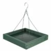 Recycled Plastic Platform Bird Feeder 2 Recycled Plastic Platform Bird Feeder -US Poultry Supplies Sales Store recycled plastic platform bird feeder 00 01 25 feeders woodlink birdhousesandbaths 762
