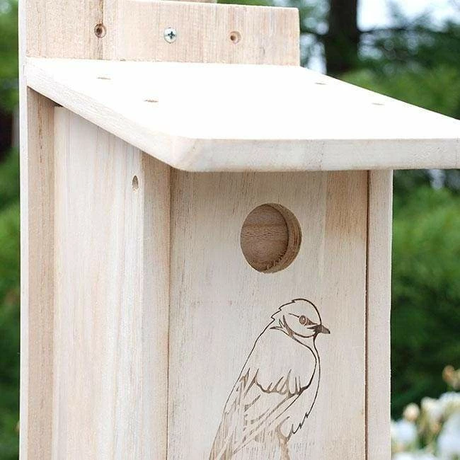 Seasonal Bluebird House 6 Seasonal Bluebird House - Image 4
