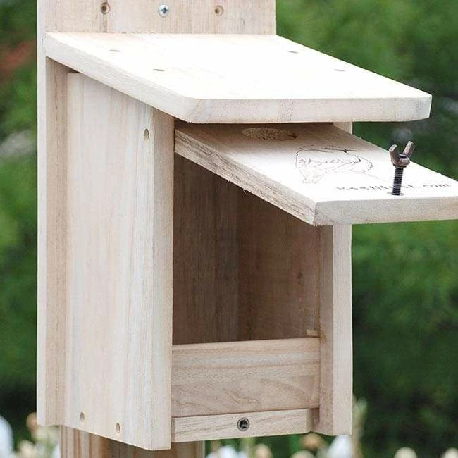 Seasonal Bluebird House 5 Seasonal Bluebird House - Image 3