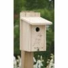 Seasonal Bluebird House 2 Seasonal Bluebird House -US Poultry Supplies Sales Store seasonal bluebird house 25 01 50 00 bird bestnest birdhousesandbaths 532