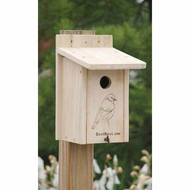 Seasonal Bluebird House 3 Seasonal Bluebird House