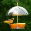 Seed Saver Domed Bird Feeder 1 Seed Saver Domed Bird Feeder -US Poultry Supplies Sales Store seed saver domed bird feeder 25 01 50 00 feeders droll yankees birdhousesandbaths 972
