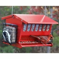 Seeds & More Double Sided Bird Feeder