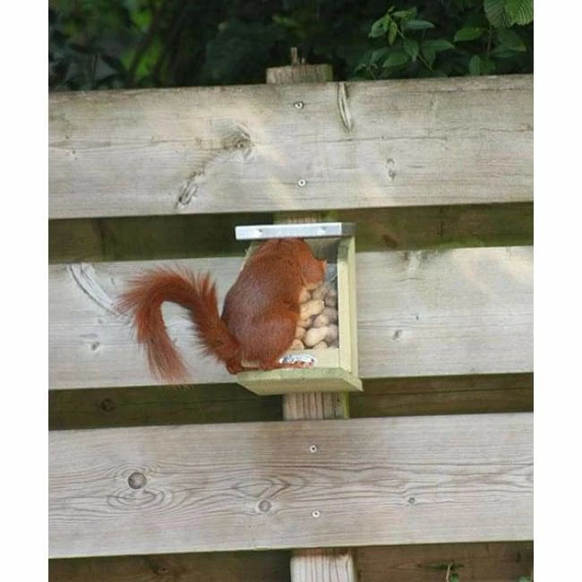 ESSCHERT DESIGN Squirrel Feeder 7 ESSCHERT DESIGN Squirrel Feeder - Image 5