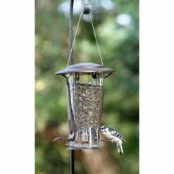 Squirrel Proof X-2 Bird Feeder 9 Squirrel Proof X-2 Bird Feeder -US Poultry Supplies Sales Store squirrel proof bird feeder 25 01 50 00 feeders birds birdhousesandbaths 479