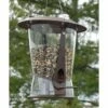 Squirrel Proof X-2 Bird Feeder 1 Squirrel Proof X-2 Bird Feeder -US Poultry Supplies Sales Store squirrel proof bird feeder 25 01 50 00 feeders birds birdhousesandbaths 824