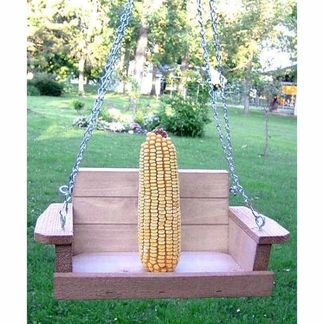 Squirrel Swing 4 Squirrel Swing - Image 2