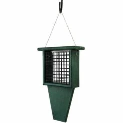 Suet Feeder With Tail Prop, Green