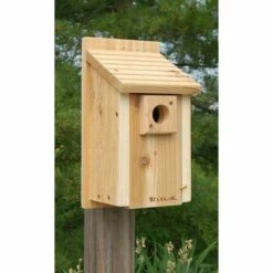 Traditional Bluebird House