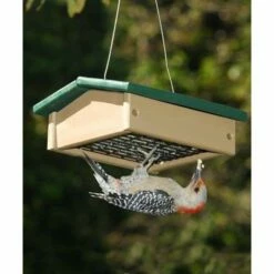 Upside-Down Green/Brown Suet Feeder