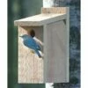 View Thru Bluebird House 2 View Thru Bluebird House -US Poultry Supplies Sales Store view bluebird house 25 01 50 00 bird looker products birdhousesandbaths 298