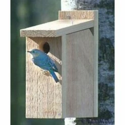 View Thru Bluebird House