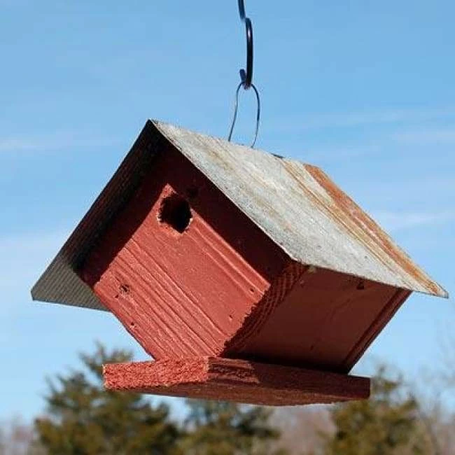Wellsville Wren House 3 Wellsville Wren House