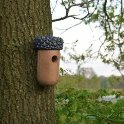 ESSCHERT DESIGN Wooden Acorn Bird House 8 ESSCHERT DESIGN Wooden Acorn Bird House -US Poultry Supplies Sales Store wooden acorn bird house 00 01 25 esschert design birdhousesandbaths 285