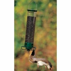 Yankee Flipper Squirrel Proof Bird Feeder 9 Yankee Flipper Squirrel Proof Bird Feeder -US Poultry Supplies Sales Store yankee flipper squirrel proof bird feeder 125 01 150 00 feeders droll yankees birdhousesandbaths 198