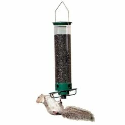 Yankee Flipper Squirrel Proof Bird Feeder 10 Yankee Flipper Squirrel Proof Bird Feeder -US Poultry Supplies Sales Store yankee flipper squirrel proof bird feeder 125 01 150 00 feeders droll yankees birdhousesandbaths 731